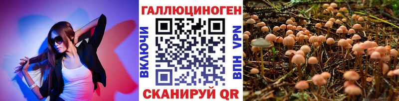 Галлюциногенные грибы мицелий  Бирюч 