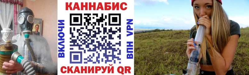 Бошки Шишки план  гидра сайт  Бирюч  купить закладку 
